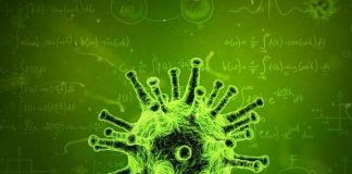 Report: To predict an epidemic, evolution can’t be ignored Report: To predict an epidemic, evolution can't be ignored