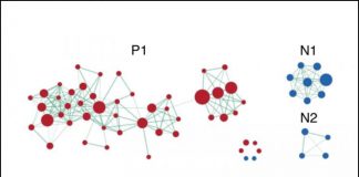 Report: Worldwide scientific collaboration unveils genetic architecture of gray matter Report: Worldwide scientific collaboration unveils genetic architecture of gray matter