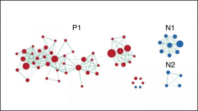 Report: Worldwide scientific collaboration unveils genetic architecture of gray matter