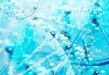 Study: Old human cells rejuvenated with stem cell technology Study: Old human cells rejuvenated with stem cell technology
