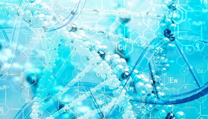 Study: Old human cells rejuvenated with stem cell technology