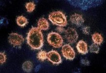 Study: Understanding spread of COVID-19 Study: Understanding spread of COVID-19