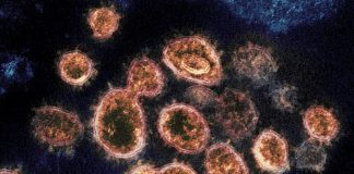 Study: Understanding spread of COVID-19 Study: Understanding spread of COVID-19