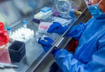 COVID-19 vaccine candidate shows promise, study shows FDA Issues Emergency Use Authorization for Convalescent Plasma as Potential Promising Coronavirus Treatment