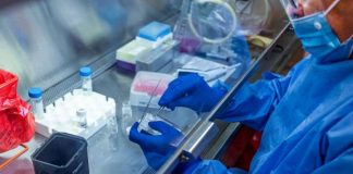 COVID-19 vaccine candidate shows promise, study shows FDA Issues Emergency Use Authorization for Convalescent Plasma as Potential Promising Coronavirus Treatment