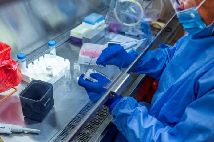 FDA Issues Emergency Use Authorization for Convalescent Plasma as Potential Promising Coronavirus Treatment FDA Issues Emergency Use Authorization for Convalescent Plasma as Potential Promising Coronavirus Treatment