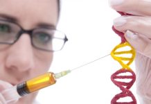 Gene variant staves off Alzheimer’s in some people (Study) Gene variant staves off Alzheimer's in some people (Study)