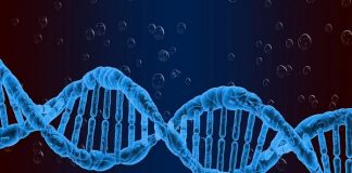 Genetics linked to childhood emotional, psychiatric problems (Study) Genetics linked to childhood emotional, psychiatric problems (Study)