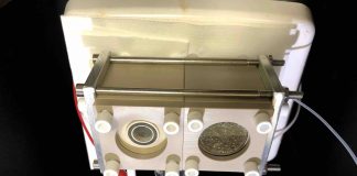 Report: Bacteria on nanowires convert sunlight, carbon dioxide and water to organic building blocks Report: Bacteria on nanowires convert sunlight, carbon dioxide and water to organic building blocks