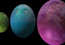 Report: Dinosaur ‘Easter eggs’ reveal their secrets in 3D thanks to X-rays Report: Dinosaur 'Easter eggs' reveal their secrets in 3D thanks to X-rays