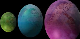 Report: Dinosaur ‘Easter eggs’ reveal their secrets in 3D thanks to X-rays Report: Dinosaur 'Easter eggs' reveal their secrets in 3D thanks to X-rays