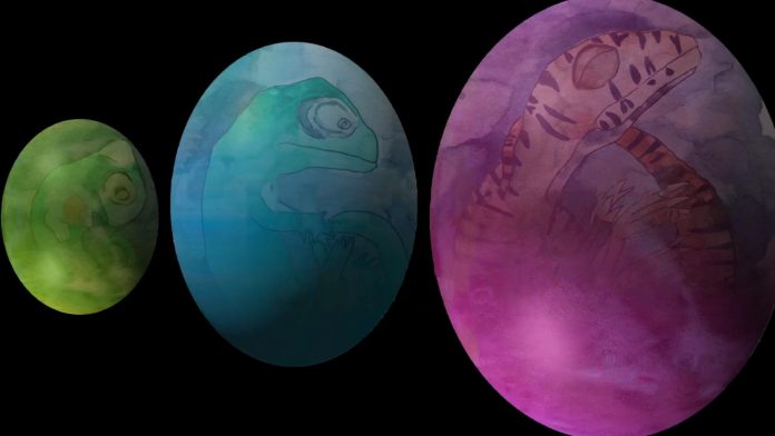 Report: Dinosaur 'Easter eggs' reveal their secrets in 3D thanks to X-rays
