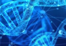 Report: ‘Directing’ evolution to identify potential drugs earlier in discovery Report: 'Directing' evolution to identify potential drugs earlier in discovery