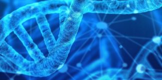 Report: ‘Directing’ evolution to identify potential drugs earlier in discovery Report: 'Directing' evolution to identify potential drugs earlier in discovery