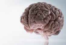 Report: New machine learning algorithm reduces need for brain-computer interfaces to undergo recalibration Report: New machine learning algorithm reduces need for brain-computer interfaces to undergo recalibration