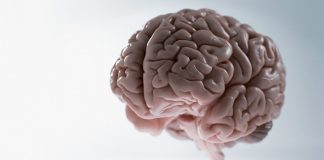 Report: New machine learning algorithm reduces need for brain-computer interfaces to undergo recalibration Report: New machine learning algorithm reduces need for brain-computer interfaces to undergo recalibration