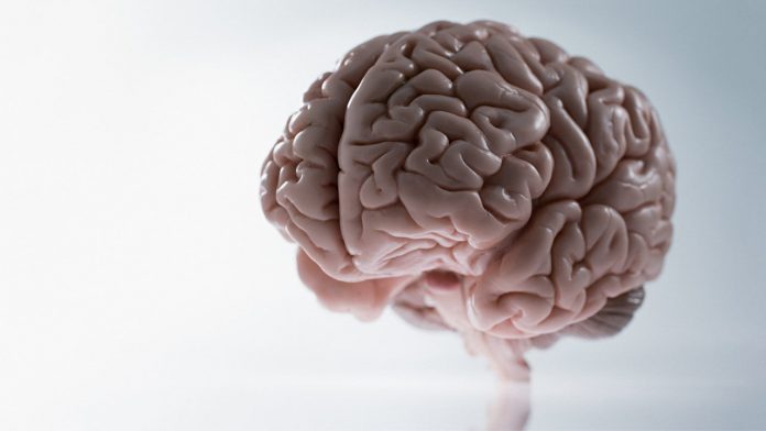 Report New machine learning algorithm reduces need for brain-computer interfaces to undergo recalibration Report: New machine learning algorithm reduces need for brain-computer interfaces to undergo recalibration