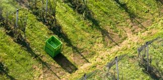 Report: Relying on ‘local food’ is a distant dream for most of the world Report: Relying on 'local food' is a distant dream for most of the world