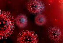 Report: Trial drug can significantly block early stages of COVID-19 in engineered human tissues Report: Trial drug can significantly block early stages of COVID-19 in engineered human tissues