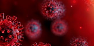 Report: Trial drug can significantly block early stages of COVID-19 in engineered human tissues Report: Trial drug can significantly block early stages of COVID-19 in engineered human tissues