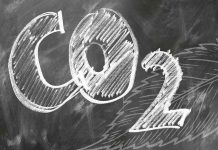 Rising carbon dioxide causes more than a climate crisis (Study) Rising carbon dioxide causes more than a climate crisis (Study)