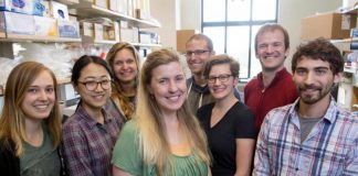Scientists developing COVID-19 test that knows you’re sick before you do Scientists developing COVID-19 test that knows you’re sick before you do