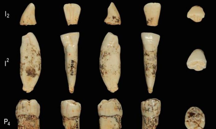 Study: Oldest ever human genetic evidence clarifies dispute over our ancestors