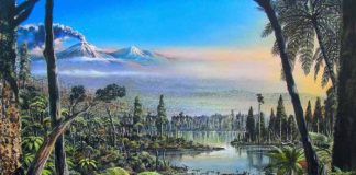 Study: Traces of ancient rainforest in Antarctica point to a warmer prehistoric world Study: Traces of ancient rainforest in Antarctica point to a warmer prehistoric world