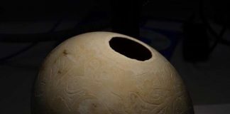 Study reveals surprising complexity of ancient ostrich egg trade Study reveals surprising complexity of ancient ostrich egg trade
