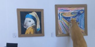 Tiny Gerbils Visit Tiny gallery With Custom Gerbil Art Tiny Gerbils Visit Tiny gallery With Custom Gerbil Art