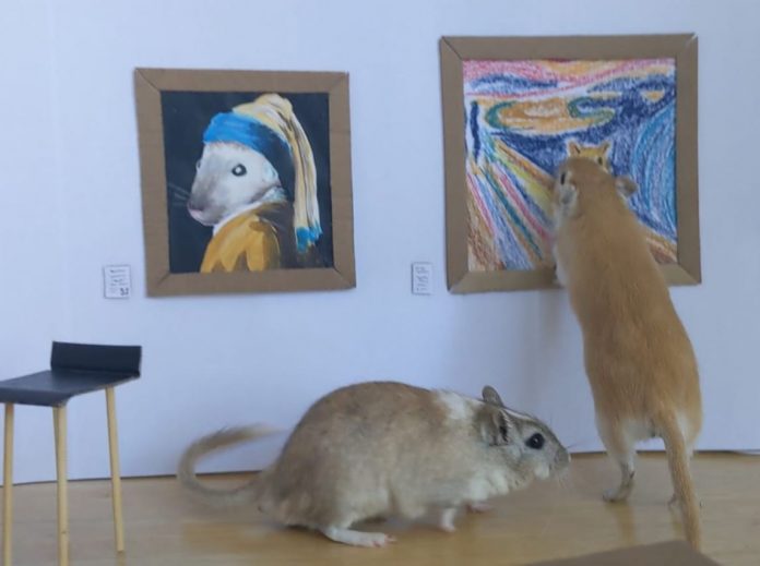 Tiny Gerbils Visit Tiny gallery With Custom Gerbil Art