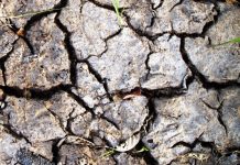 Report: Warming may be triggering era worse than any in recorded history Warming may be triggering era worse than any in recorded history