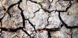 Report: Warming may be triggering era worse than any in recorded history Warming may be triggering era worse than any in recorded history