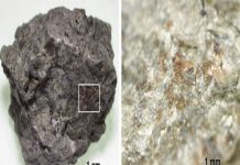 4-billion-year-old nitrogen-containing organic molecules discovered in Martian meteorites (Study) 4-billion-year-old nitrogen-containing organic molecules discovered in Martian meteorites (Study)