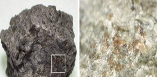 4-billion-year-old nitrogen-containing organic molecules discovered in Martian meteorites (Study) 4-billion-year-old nitrogen-containing organic molecules discovered in Martian meteorites (Study)