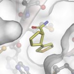 Compounds synthesised in York could provide clue in the hunt for new treatments against COVID-19 Compounds synthesised in York could provide clue in the hunt for new treatments against COVID-19