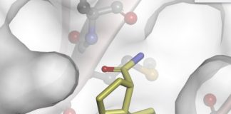 Compounds synthesised in York could provide clue in the hunt for new treatments against COVID-19 Compounds synthesised in York could provide clue in the hunt for new treatments against COVID-19
