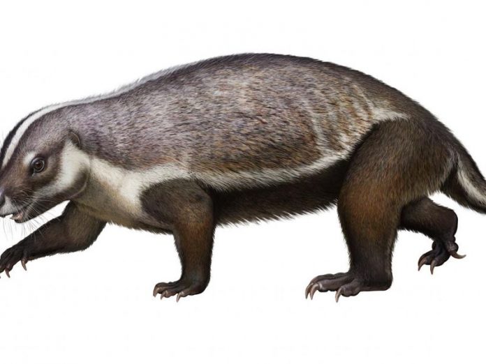 'Crazy beast' lived among last of dinosaurs, says new research