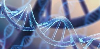 Increased fertility for women with Neanderthal gene, Says New Study Increased fertility for women with Neanderthal gene, Says New Study