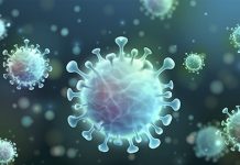 Report: The virus’s ability to change makes it likely that new human coronaviruses will arise Report: The virus's ability to change makes it likely that new human coronaviruses will arise