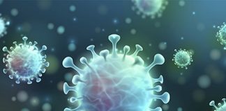 Report: The virus’s ability to change makes it likely that new human coronaviruses will arise Report: The virus's ability to change makes it likely that new human coronaviruses will arise
