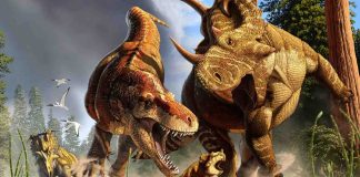 Research suggests T. rex’s legs were made for walkin’ – not running Research suggests T. rex's legs were made for walkin' – not running