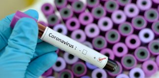 Veterinary college seeks volunteers for COVID-19 study