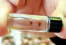 National tick surveillance survey identifies gaps to be filled