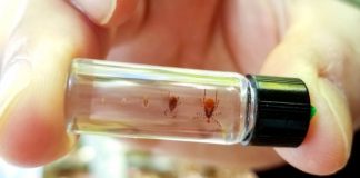 National tick surveillance survey identifies gaps to be filled