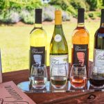 About 480 attend Cornell webinar to reopen tasting rooms