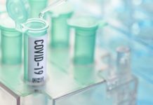 Group testing could screen entire US, research suggests (Study)