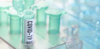 Group testing could screen entire US, research suggests (Study)