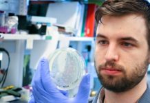 Mann award winner illuminates infectious diseases