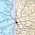 Neurons thrive even when malnourished